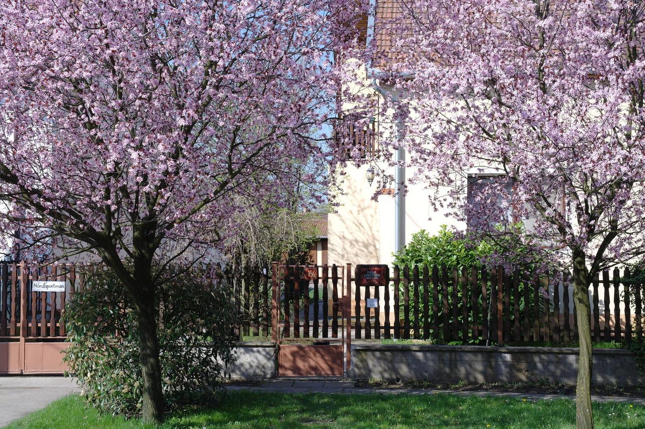 Nóra Apartman Gyula Exterior foto